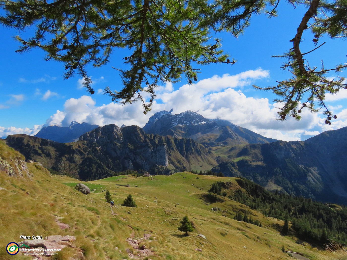 48 Bella vista sul Monte Campo con Arera .JPG